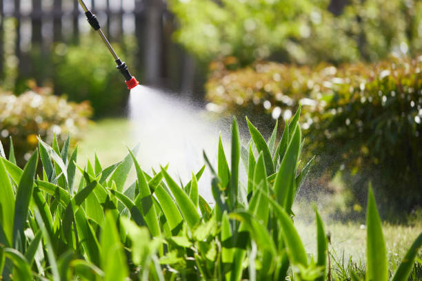 Tamper-Resistant Bait Stations for Rodents in San Pasqual